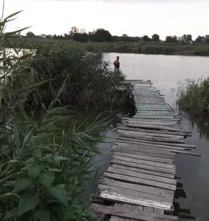 Староминская сосыка