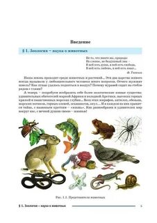 Зоология 7 класс