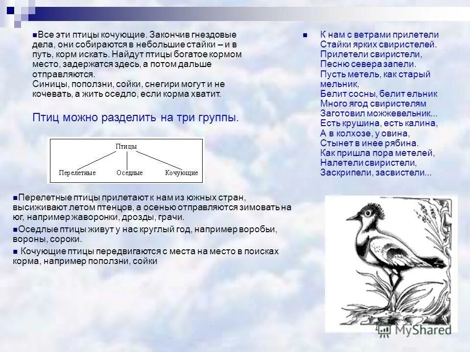 Прилетел ветер. Прилетел ветер. Прилетел ветер. Картинка сила ветра для дошкольников. Трепещут или трепещат.