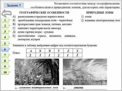 Географические признаки картофеля впр 5 класс