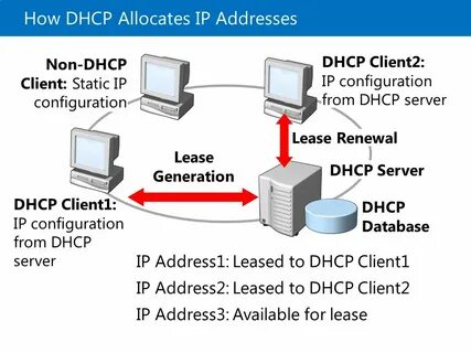 Allocated address