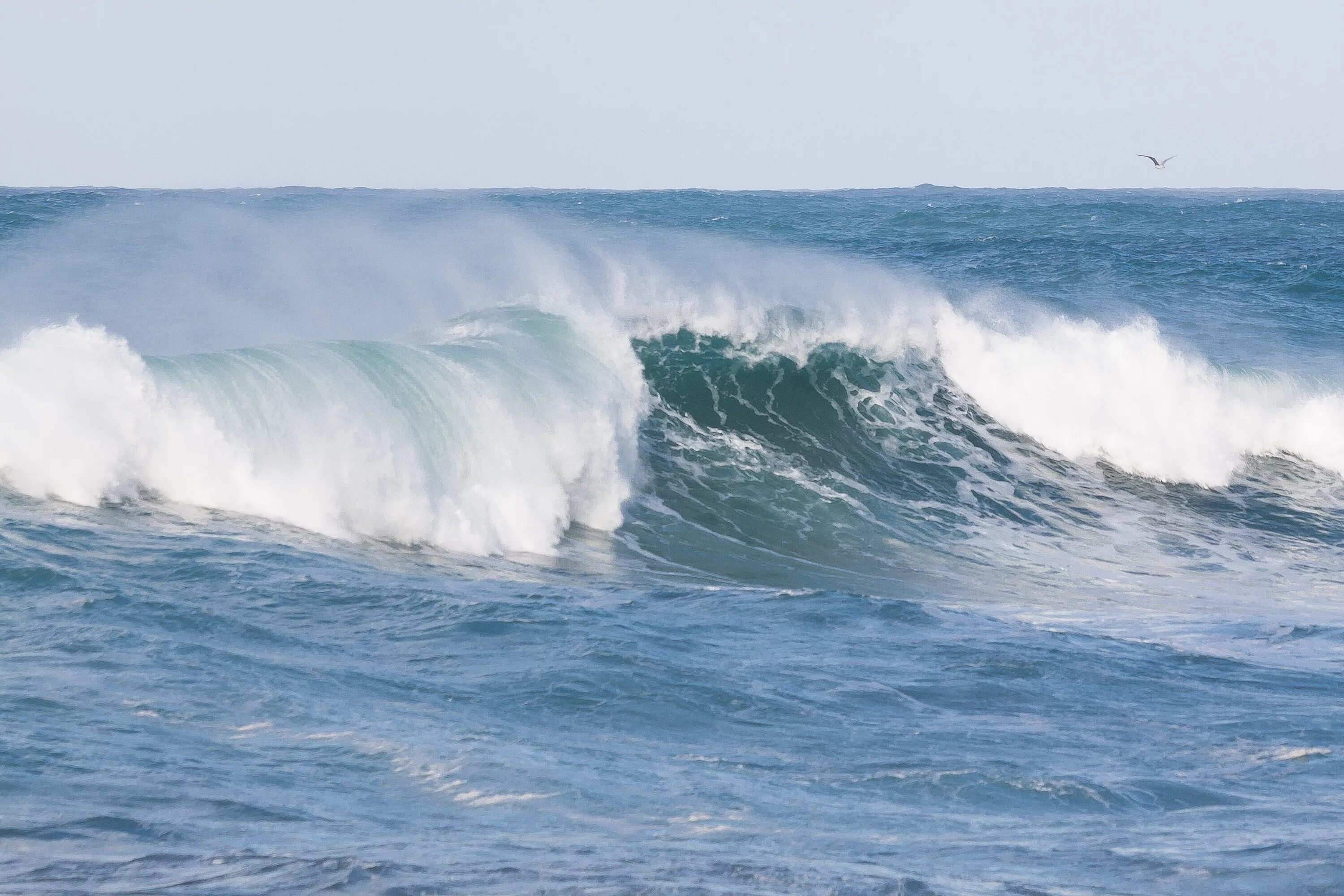 Как называется ветер океана. Огромные волны. Большие волны в открытом океане. Огромные волны в океане. Ветер океанских волн.