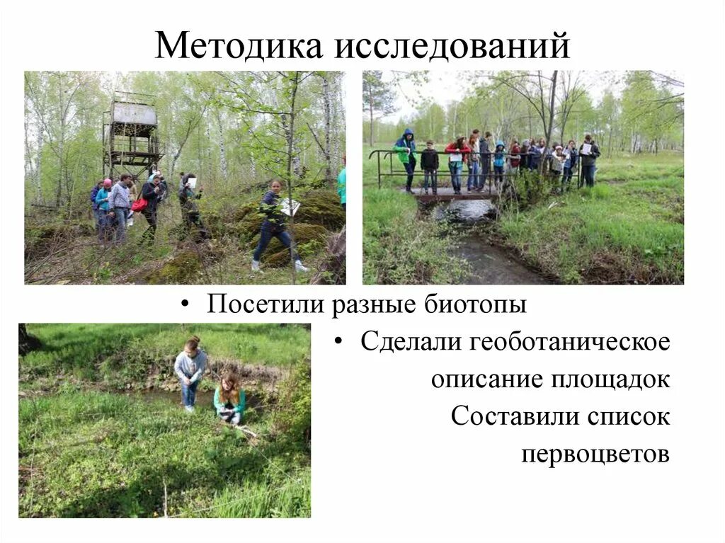 Площадь пробной площадки