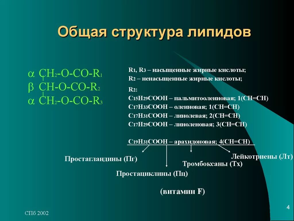 Строение липидов. Общая структура липидов. Строение и классификация липидов. Структура строения липидов. Группа соон является