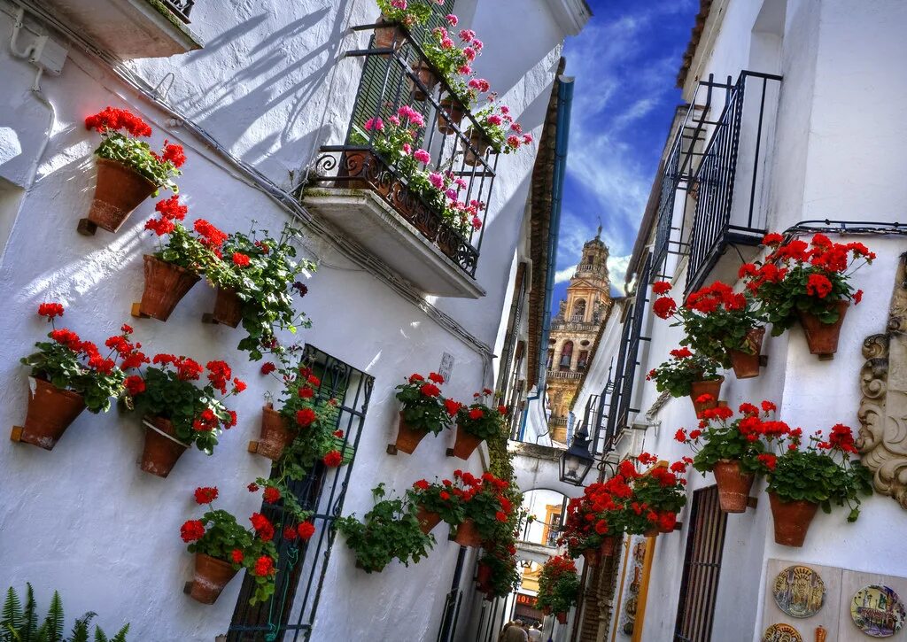 Street of flowers. Испания Кордова Цветочная улица. Цветущие улочки Испании. Севилья цветочные улочки. Испания город в цветах Кордова.