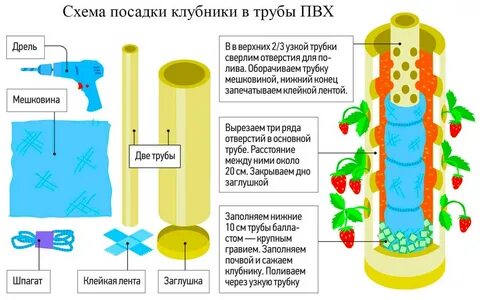 Сколько литров нужно для клубники