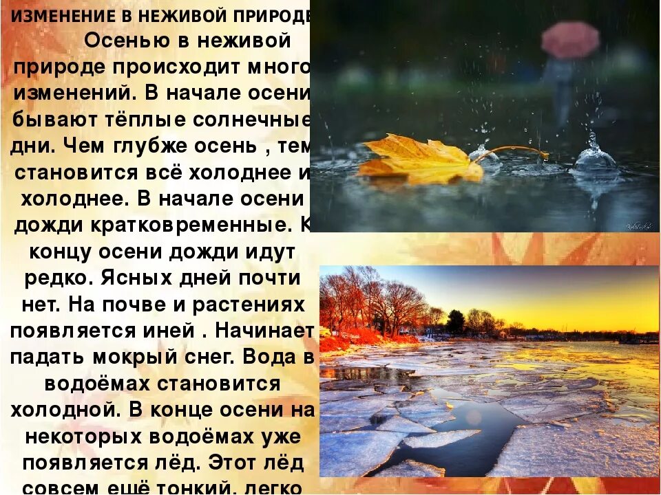 Изменения в неживой природе осенью. Осенние изменения в природе. Изменения в живой природе осенью. Осень изменения в природе.