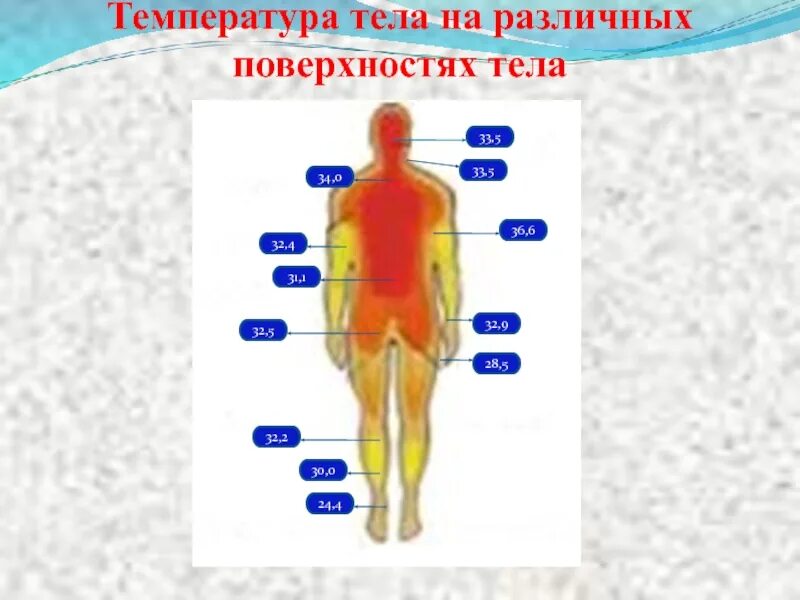 Температура кожных покровов. Нормы поверхности температуры тела. Распределение температуры тела человека. Температура в разных частях тела человека. Температура разных участков тела.