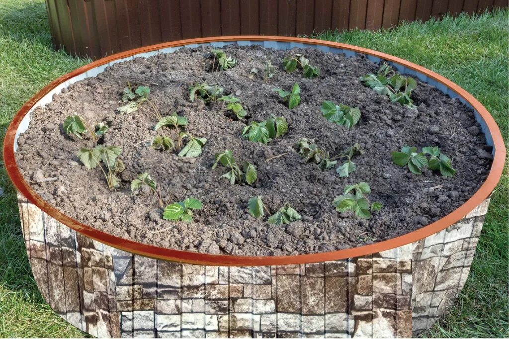 Деревянные клумбы для цветов. Круглые грядки. Круглые грядки. Круглая грядка для зелени. Деревянные клумбы.