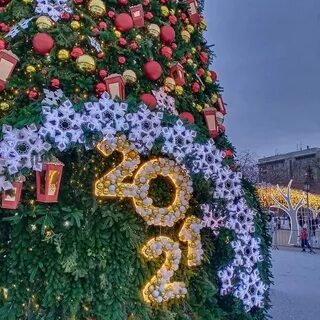 Сорок декабрь