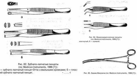 Зубчато лапчатый