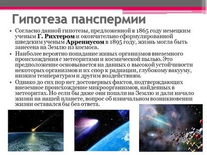 Суть панспермии