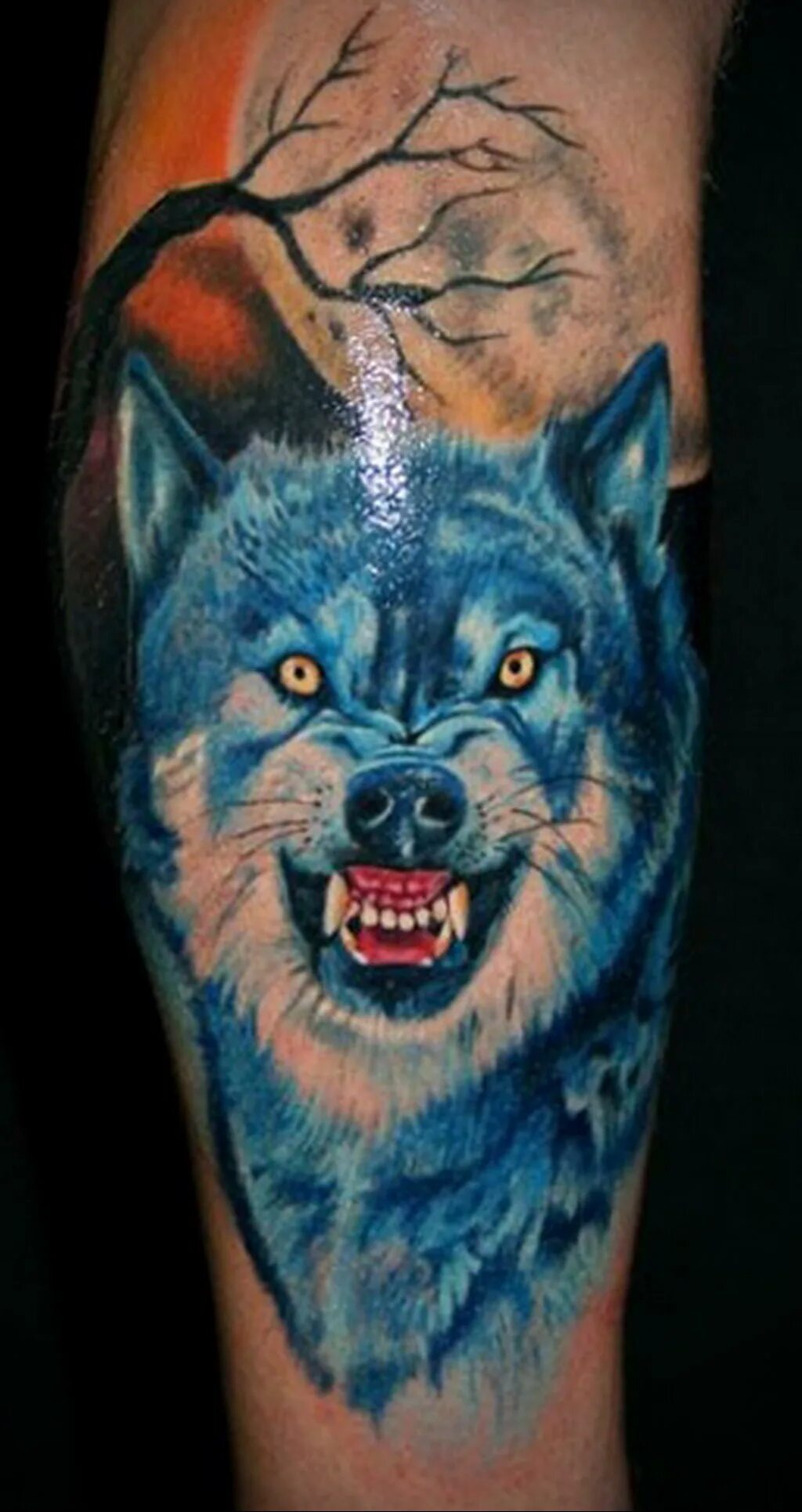 тату оскал волка. оскал волка тату значение. волчий оскал тату. оскал волка тату значение. тату оскал волка на плече.