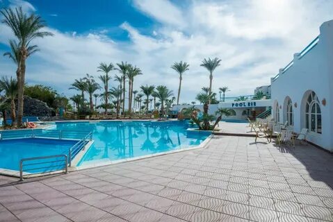 Shams safaga 4