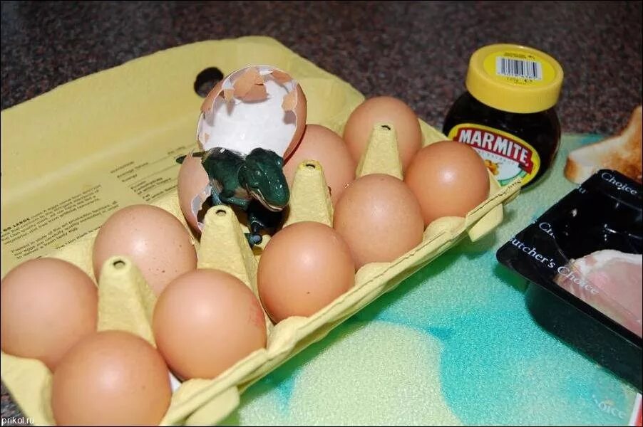 Куда девать куриную