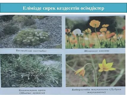 Ұйықтап жатқан құрбының көтін жалап жатқан қыздың порно видеосы