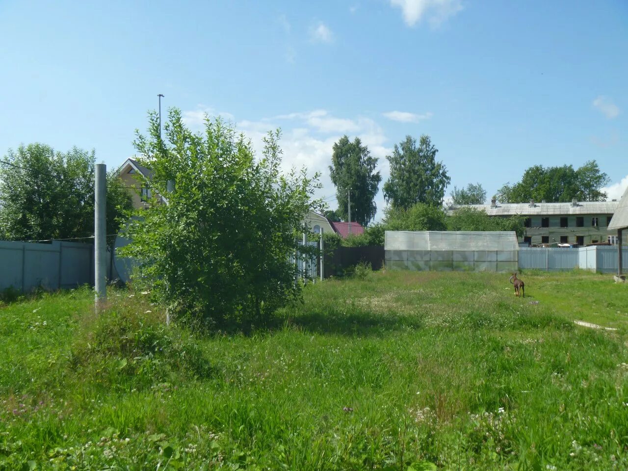 Энколово днп рассвет. Лесной квартал всеволожск. Участки новотоксово в новотоксово. Фото участков земли на продажу. Леса агалатово.