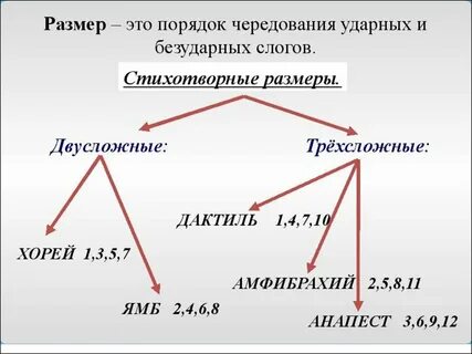 Размер в литературе виды