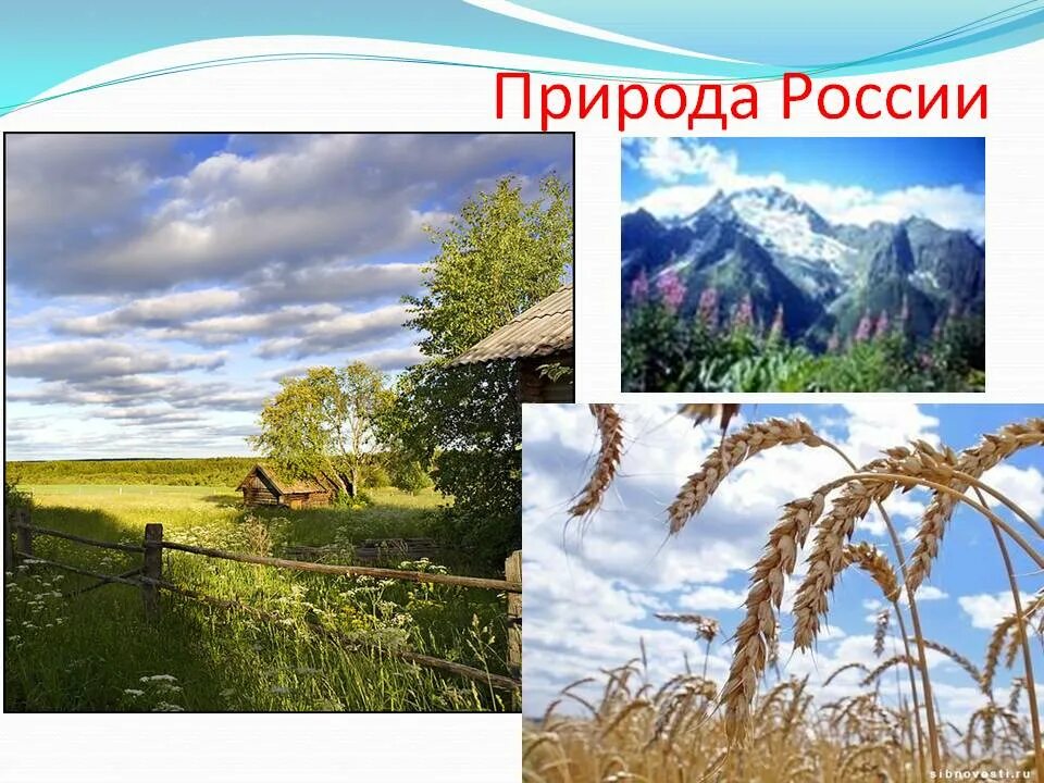 Природа России презентация. Презентация природа России Россия. Проект природа России. Практическая работа природа россии