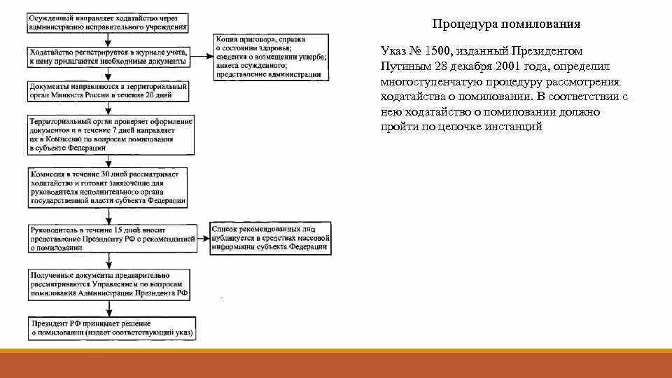 Амнистия находится в ведении
