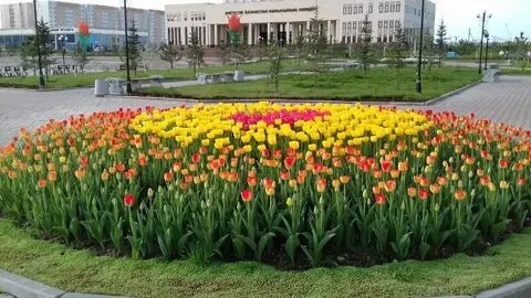 Хардкор түрме порнофотосуреттері