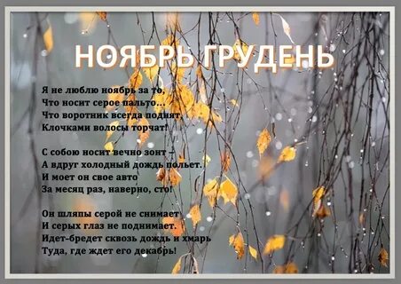 Грудень