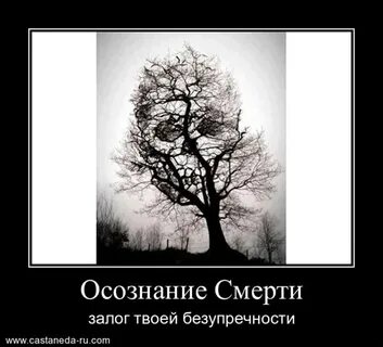 Дает осознание