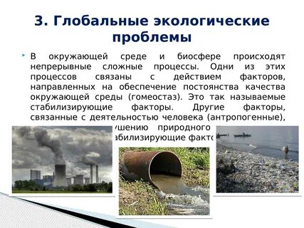 Определение экологической проблемы