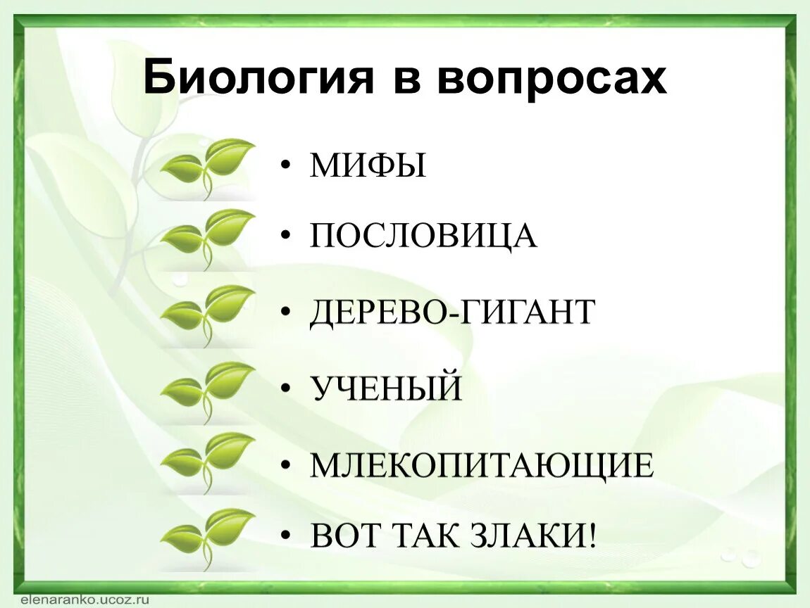 Вопросы по биологии 6 7 класс. Вопросы по биологии. Вопросы по эуологии. Биологические вопросы. Занимательные вопросы по биологии.