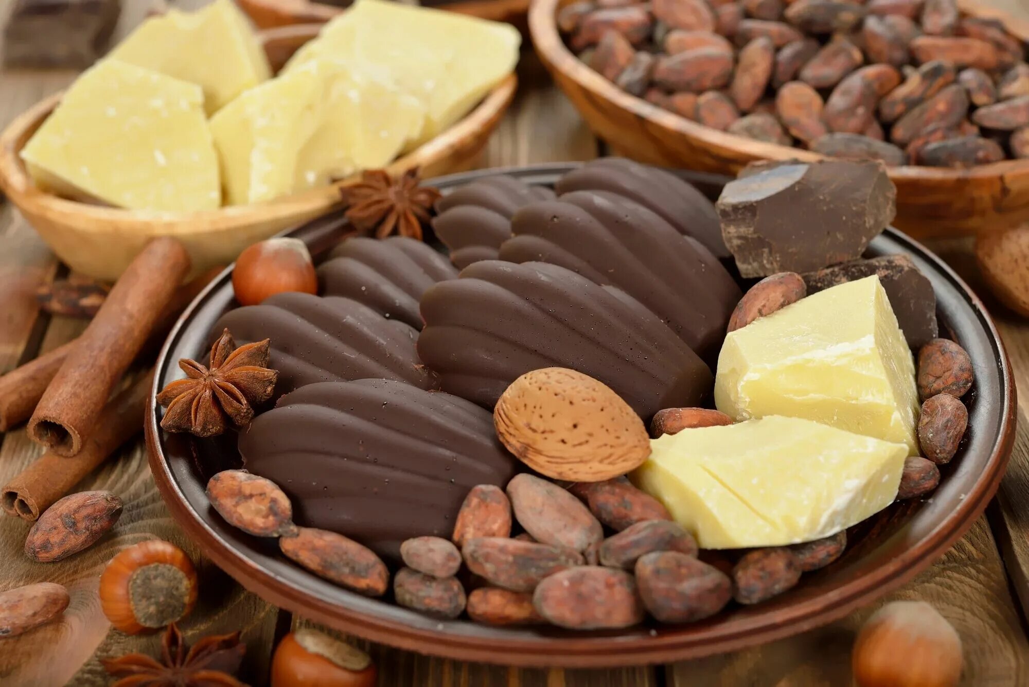Шоколад продукт. Масло какао жир. Шоколад какао Бобы. Сырье для шоколада. Масло какао бобов.