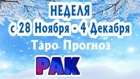 Неделя с 4 декабря