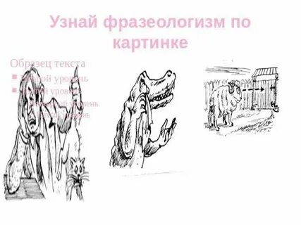 В ус не дула что значит