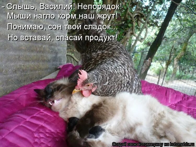 Совсем отстань
