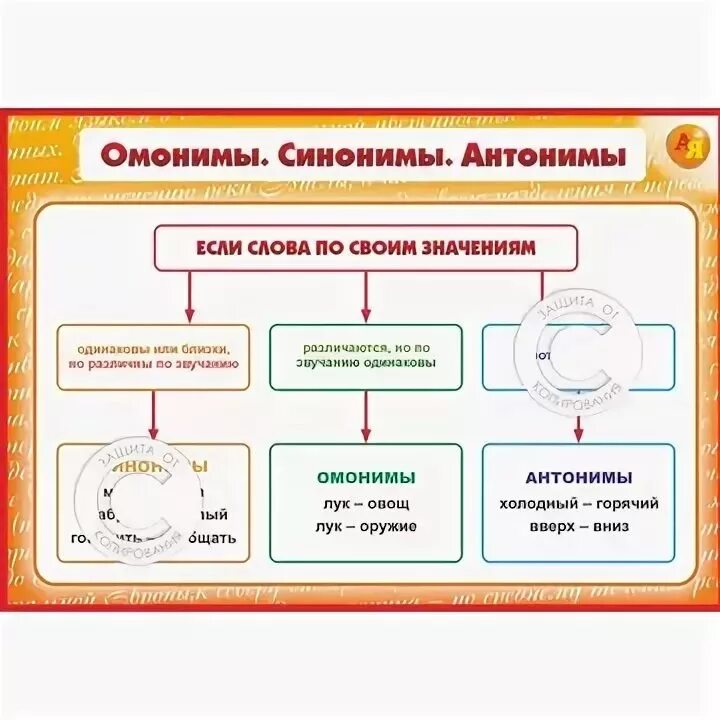 Есть синонимы антонимы омонимы