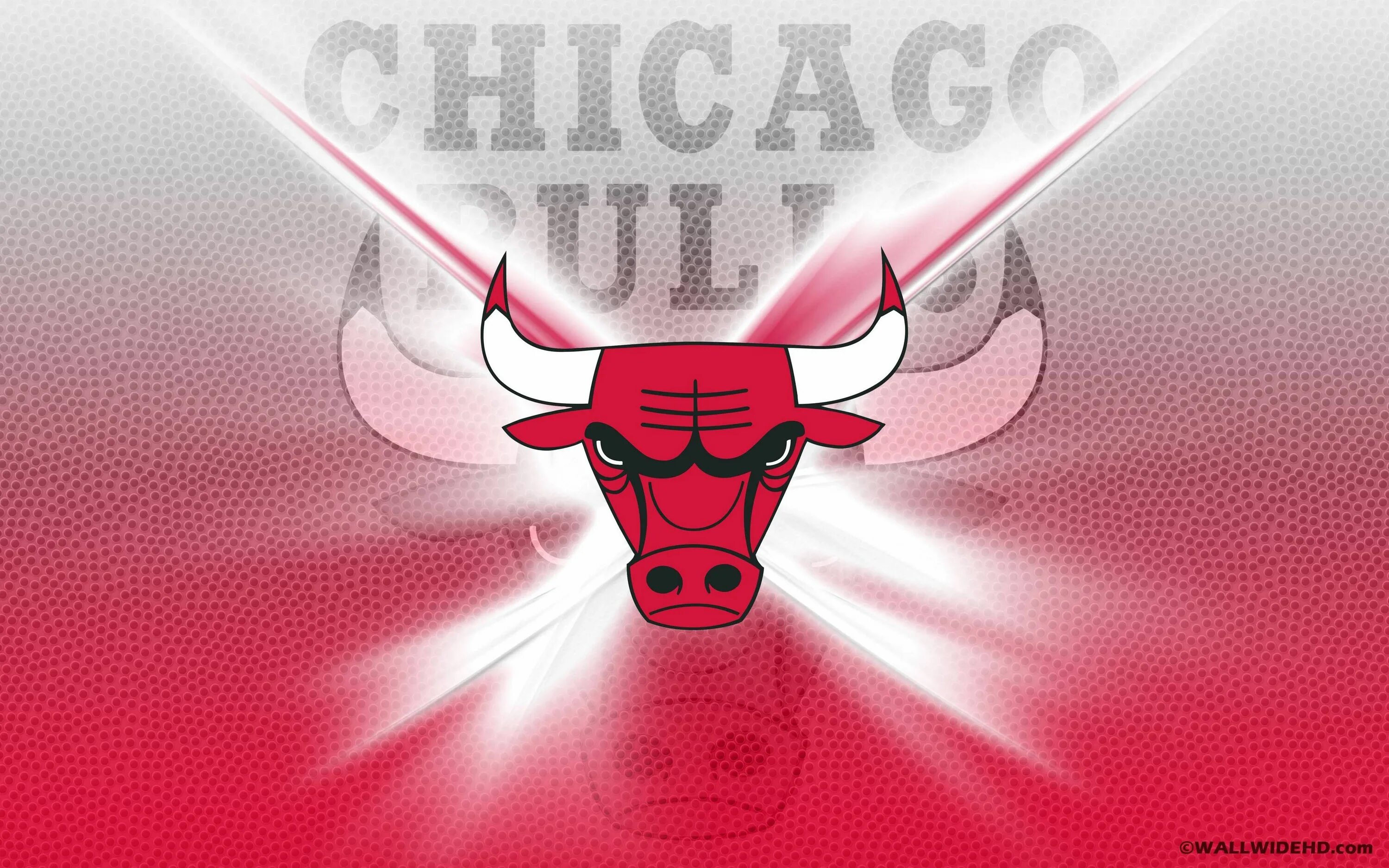 Чикаго булс. Чикаго буллз 1998. Красный бык chicago bulls. Чикаго буллз баскетбол логотип. Булс команда чикаго буллз.
