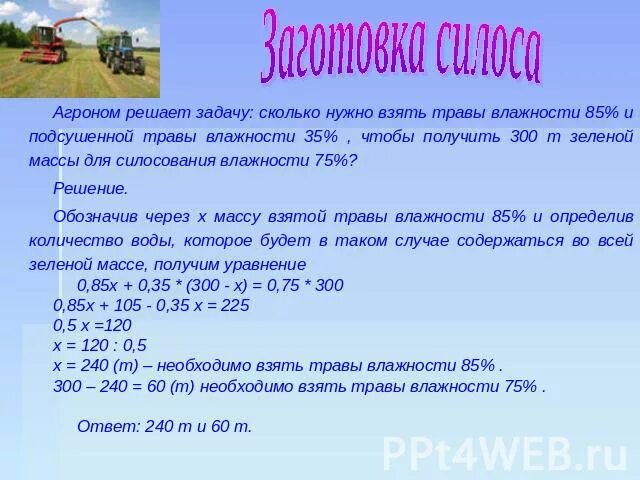 Влажность сена. Определение влажности зеленой массы. Влажность травы составляет. Задачи агронома. Задачи на влажность.