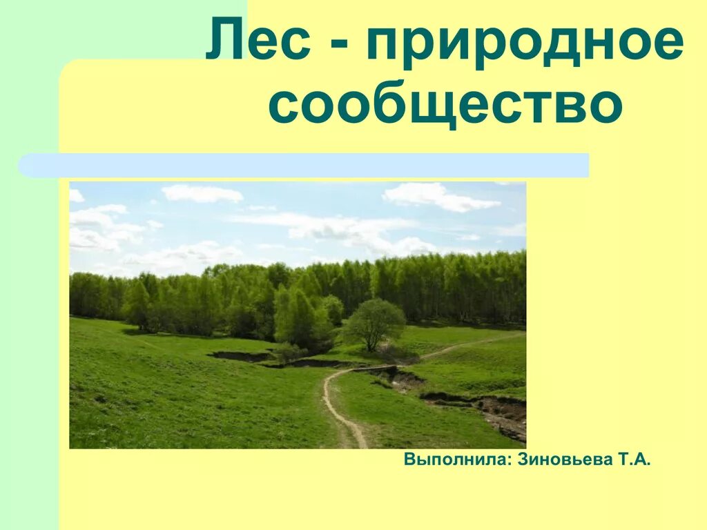 Природное сообщество лес значение. Природное сообщество лес. кластер лес природное сообщество. природное сообщество лес презентация. лесное природные сообщества липецкой области.