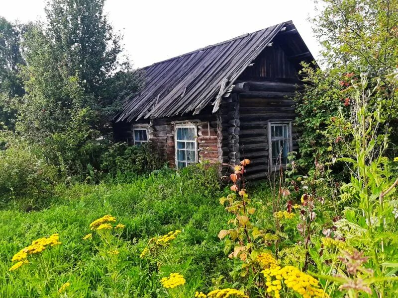 Северный томская область. Погода в альмяково томская. Альмяково томская область. Альмяково. Альмяково.
