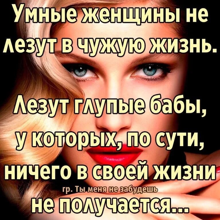 Разрушают чужую жизнь. Умные женщины не лезут в чужую жизнь лезут глупые. не лезьте в чужую семью цитаты. статусы про глупых женщин. умные женщины не лезут в чужую жизнь.
