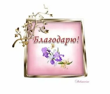 Благодарим вас за отзыв и высокую оценку