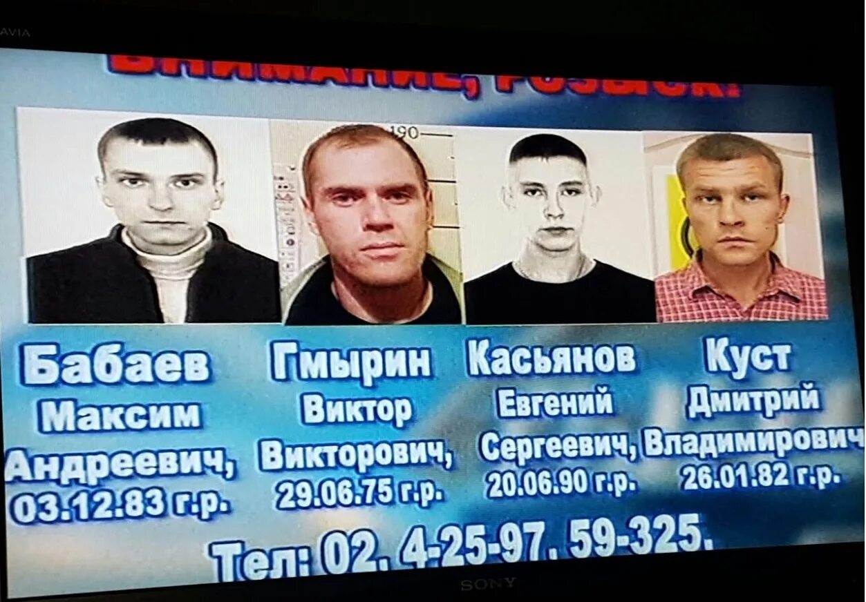 Дело четверых. Розыск Тында.