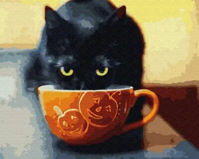 Кошачий чай