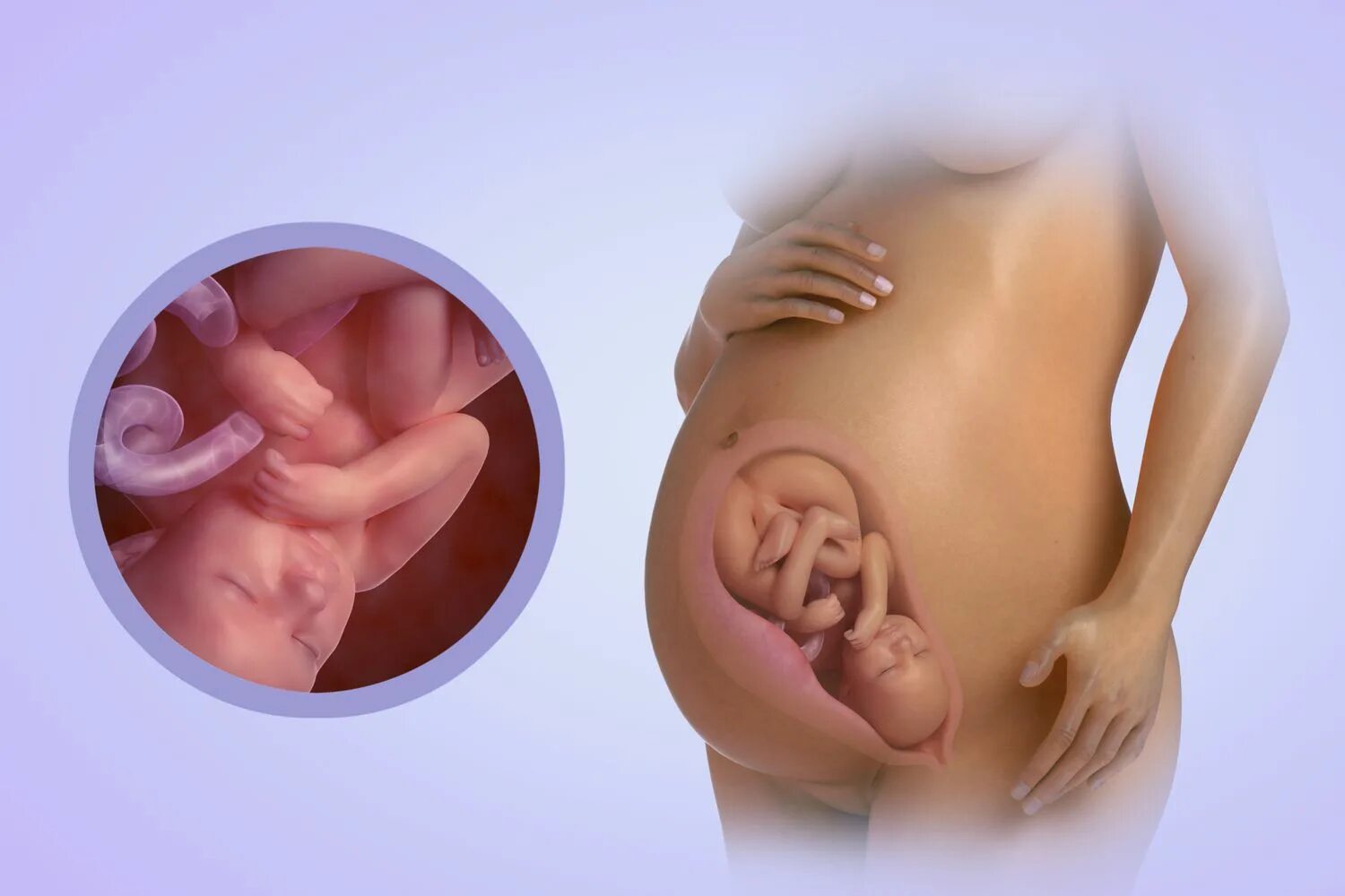 Видео где забеременеть. Ребёнок на 15 неделе беременности. 15 Недель беременности шевеление плода ощущения. Где находится эмбрион в животе.