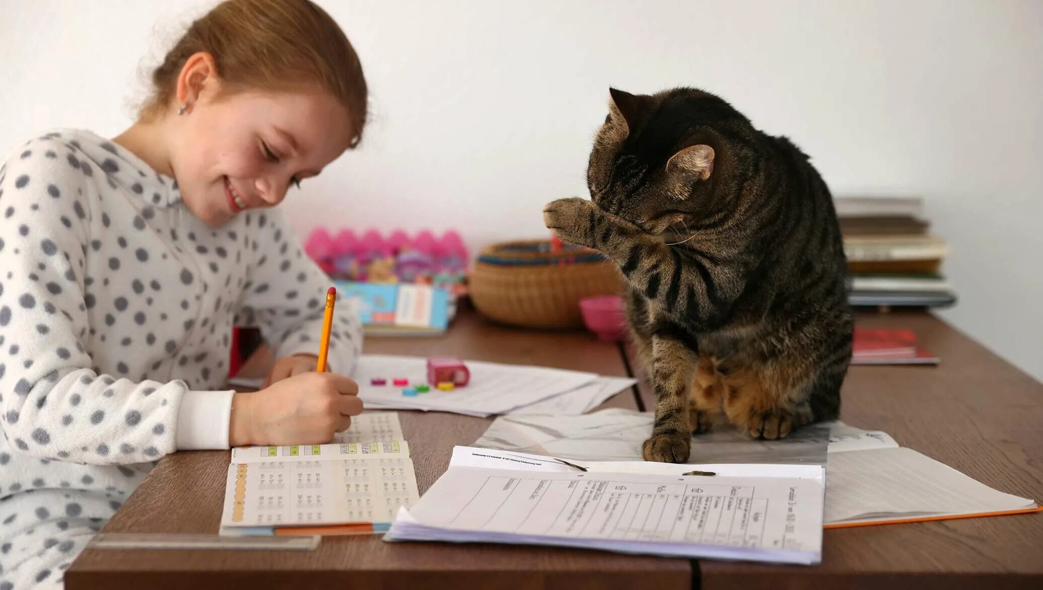 Кот ученик. Кошка спит на собаке. Ребенок спит с котом. Кот ученик. Дети и бездомные животные.