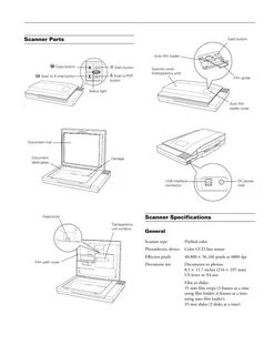 Как настроить сканер epson