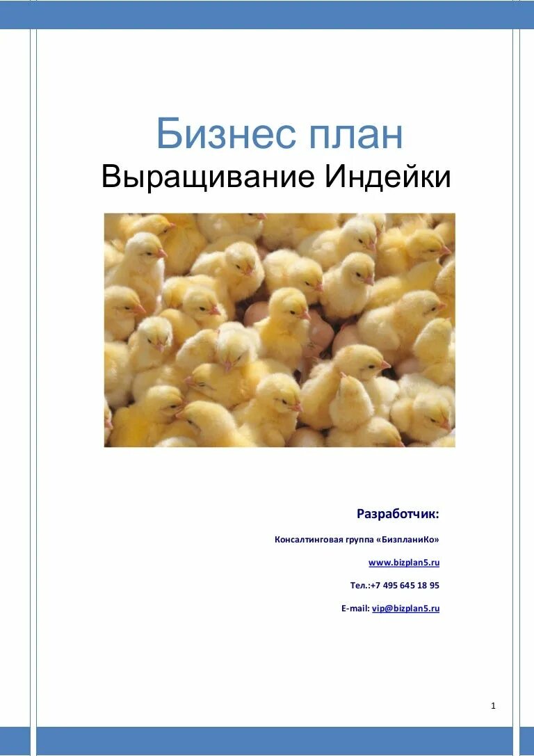 План ведения личного подсобного хозяйства птицеводство. Содержание бизнес плана разведение коз. Бизнес план мясного скотоводства крс. Бизнес план птицеводство. Бизнес план на выращивание.
