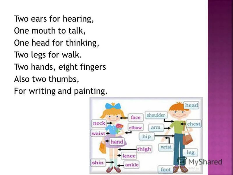 I have worksheet. Карточка нос. Phonetic drill. Части лица части тела для детей. Two hands two ears.