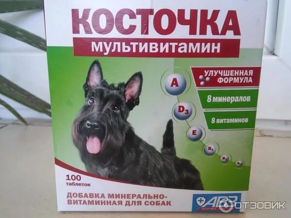 Можно давать собаке семечки