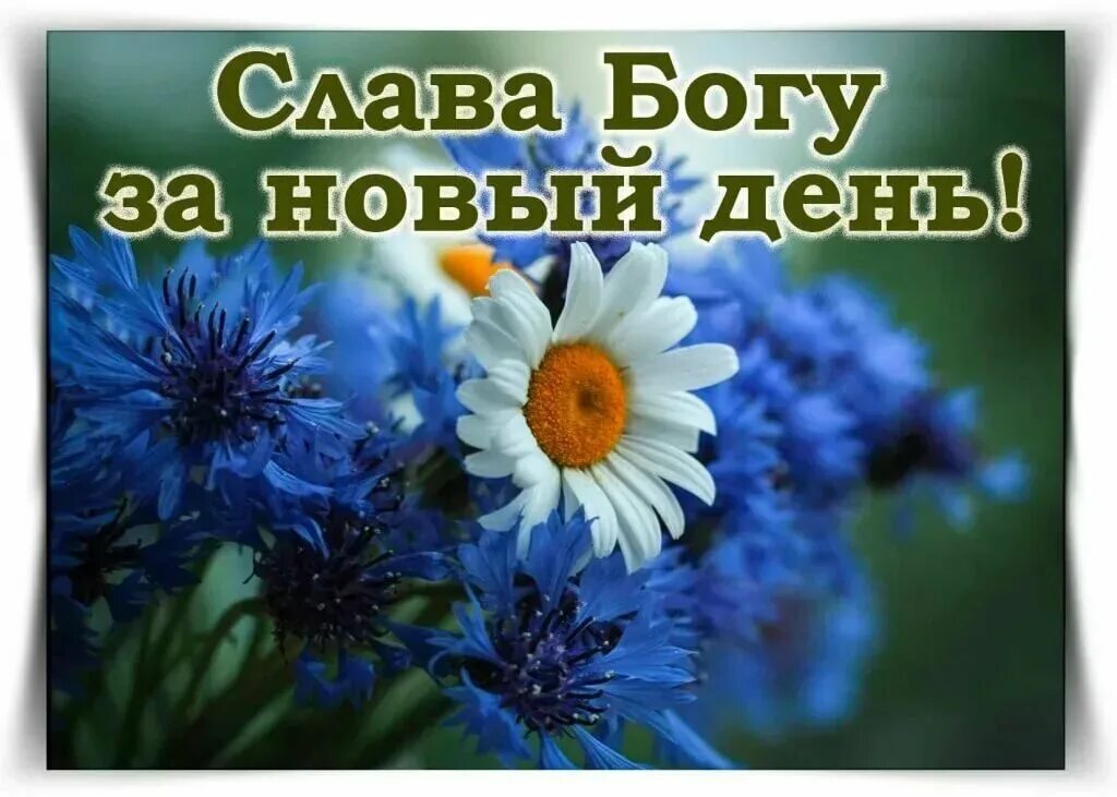 Доброе утро христианские. Благословенного дня. Доброе утро благословенного дня. Доброгого утра и благомловенного дня. Доброе у ТПО благословенного дня.