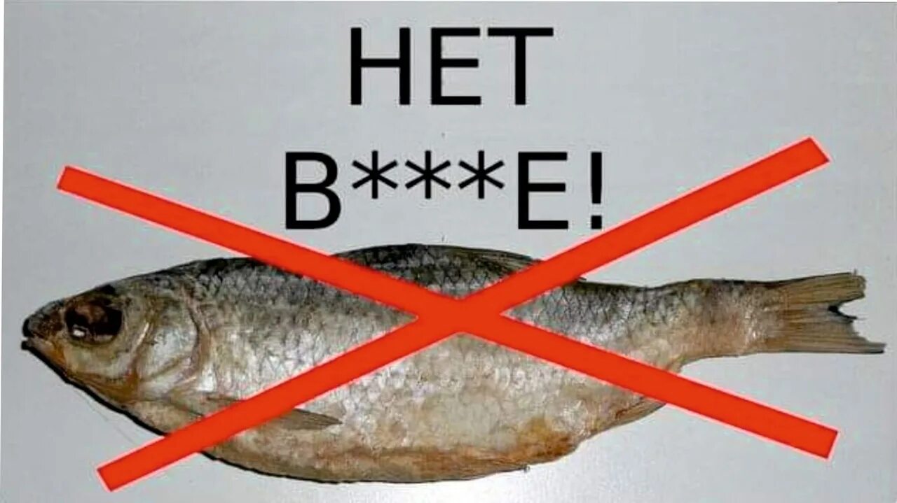 Свидмитов нет. Нет вобле. нет вобле мемы. нет вобле картинки. нет вобле плакат.
